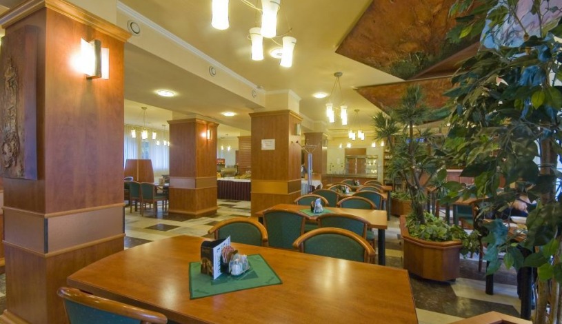 Žďárský hotel Jehla Žďár nad Sázavou